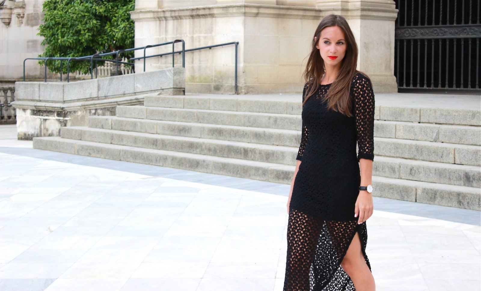 Chicorya Sales -Chicorya Sales ren